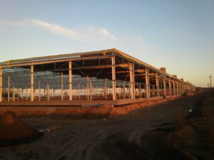 Budowa hali produkcyjnej